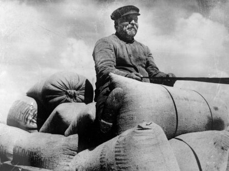Новая экономическая политика кабинета Колейна