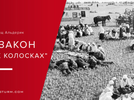 Принятие постановления ЦИК и СНК СССР об укреплении колхозного строительства