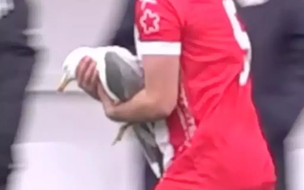 post-thumb