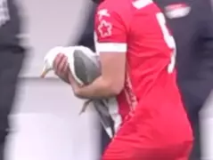 Убийство Хорхе Марсело Скарпельо