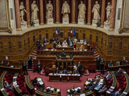 Парламентский комитет Франции одобрил законопроект об ужесточении иммиграции