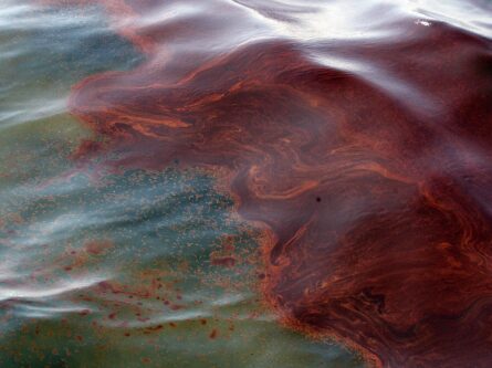 Публичные дебаты в прессе о значении экспроприации нефти для суверенитета Мексики